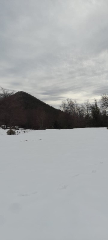 Terrenos en la Region de Ñuble