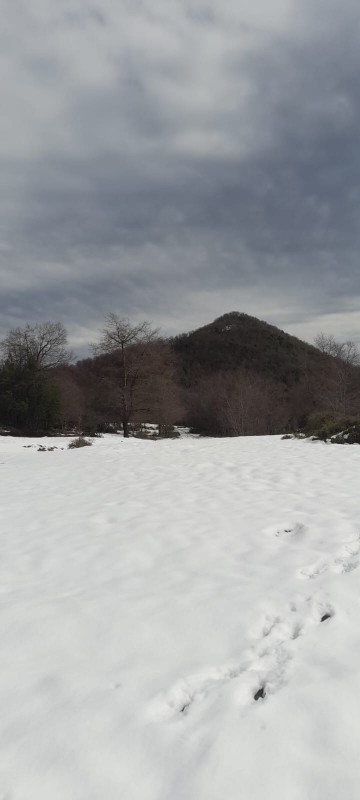 Terrenos en la Region de Ñuble