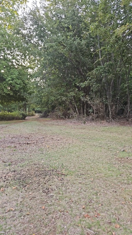 Terrenos en la Region de Ñuble