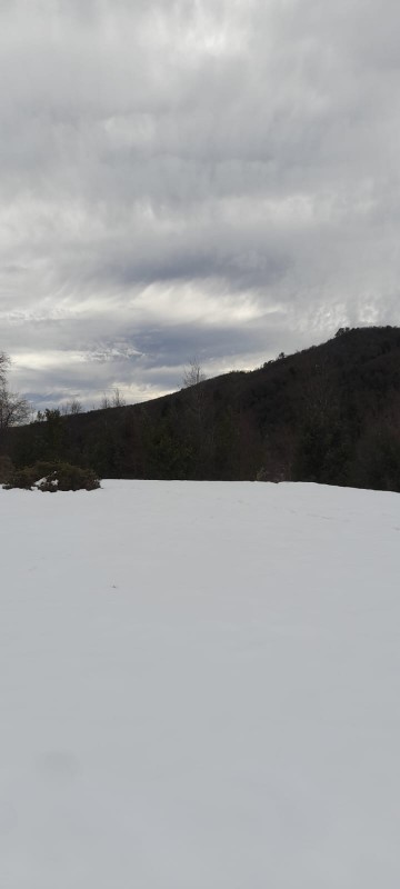 Terrenos en la Region de Ñuble