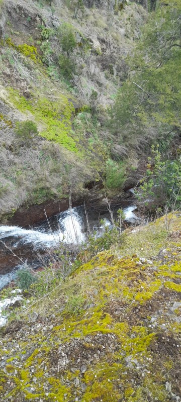 Terrenos en la Region de Ñuble