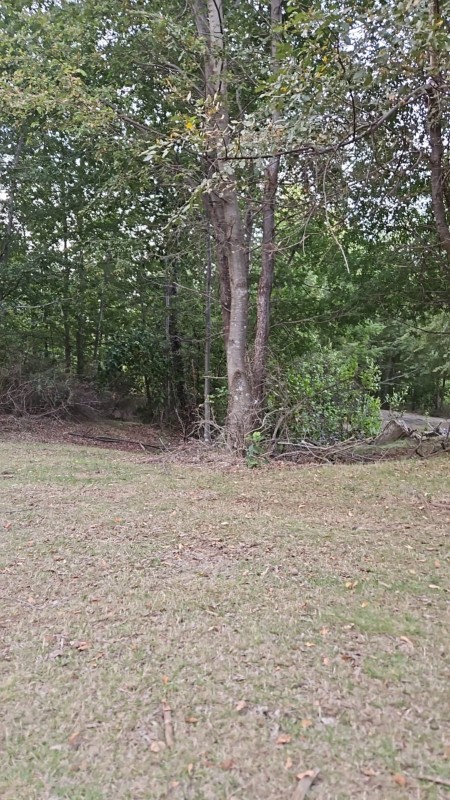 Terrenos en la Region de Ñuble