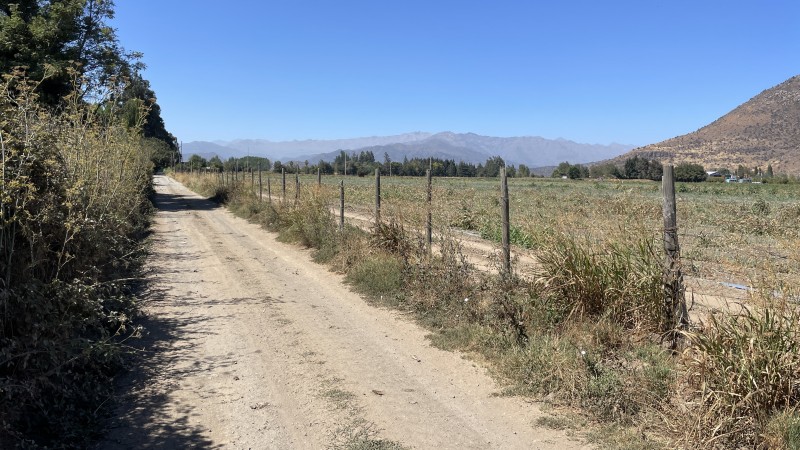 Vendo Campo Agrícola 13,42 Has los Mayos Rancagua Sa Joaquín