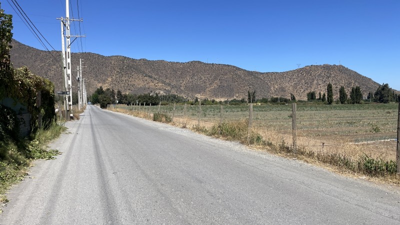 Fotografía de Vendo Campo Agrícola 13,42 Has los Mayos Rancagua Sa Joaquín