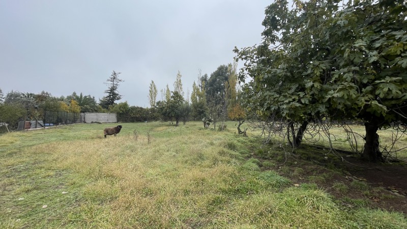 Casa en Parcela en Chimbarongo .