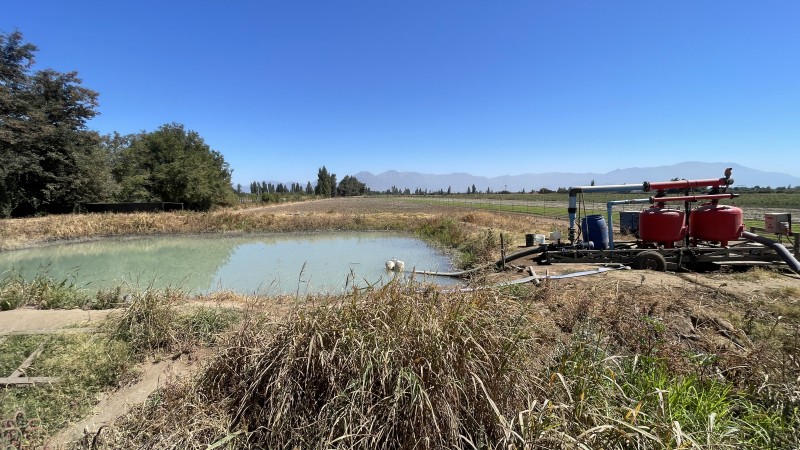 Vendo Campo Agrícola 13,42 Has los Mayos Rancagua Sa Joaquín