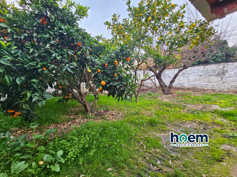 Arriendo Remodelada Casa A Pasos de Av. Colín y Lider