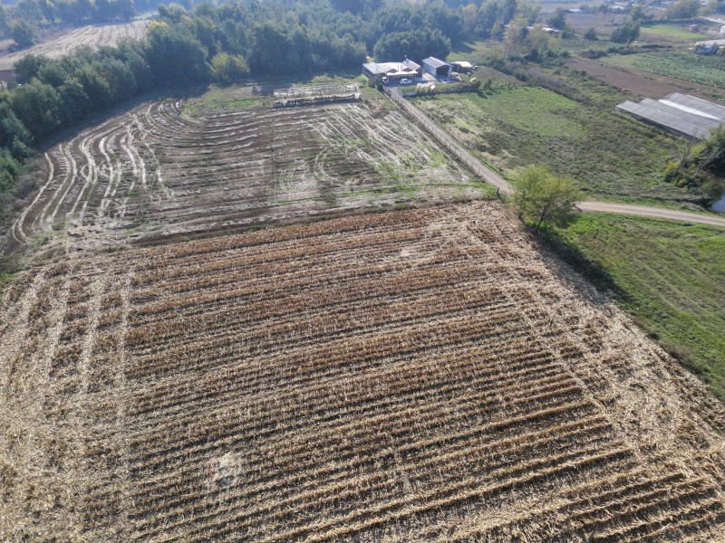 Se Vende Casa Premium, 2,5 Ha Con Vertiente + Pozo + Galpón