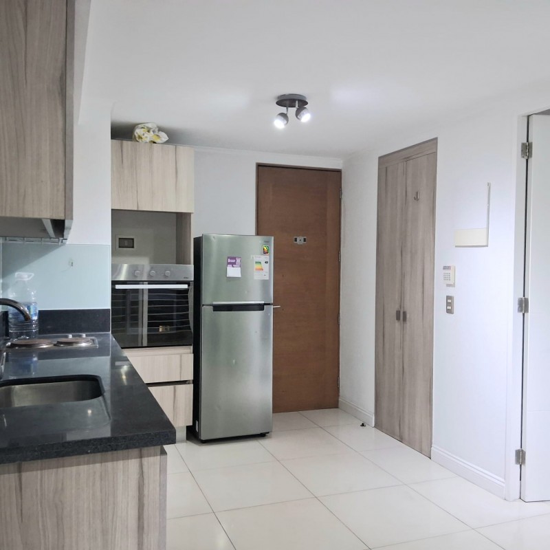 Se Arrienda Hermoso Departamento en Santiago Centro