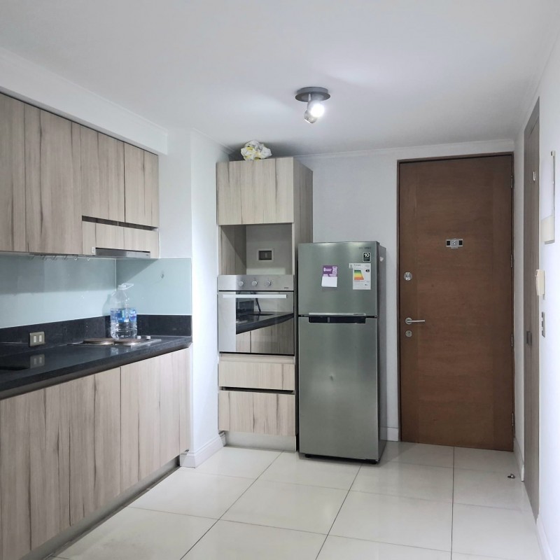 Se Arrienda Hermoso Departamento en Santiago Centro