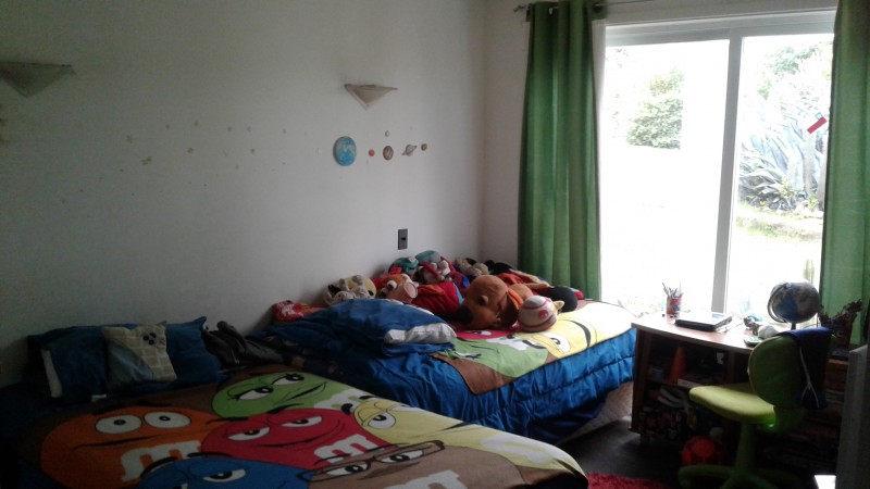 Vendo 2 Casas en Terreno de 5000M2 4 Dorm y 2 Dorm
