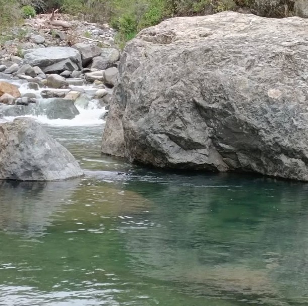 Nogales en Producción y Camping Operativo en Vilches Alto.