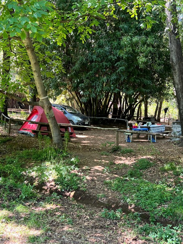 Nogales en Producción y Camping Operativo en Vilches Alto.