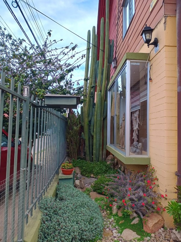 Ciudad de la Eterna Juventud Vende Hermosa Casa V.alemana