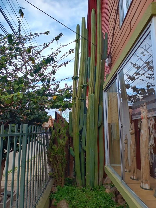Ciudad de la Eterna Juventud Vende Hermosa Casa V.alemana