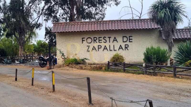 Condominio Foresta de Zapallar Parcela y Casa Full Equipada