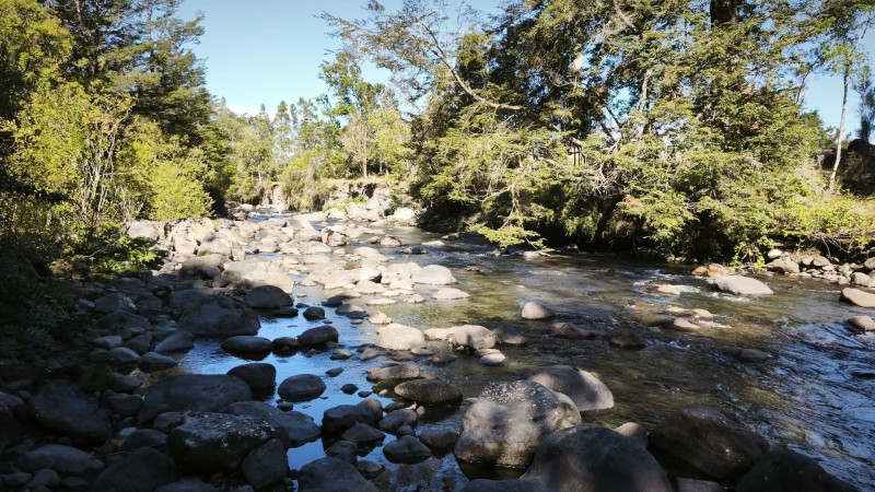 Parcela Con Orilla de Río y Acceso Al Lago Llanquihue
