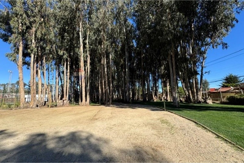 Departamento en Venta 2D 2B 1Est 1B Algarrobo