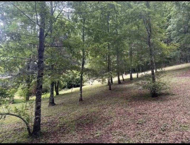 Parcelas A 5Km de Curacautín