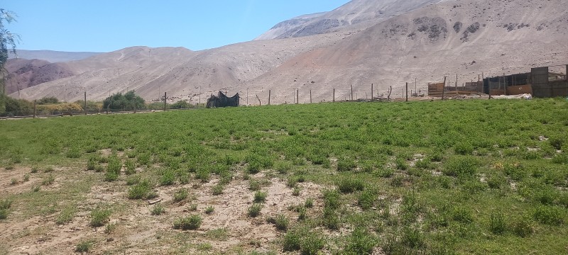 Vente Terreno de 5.4 Hectáreas en Camarones