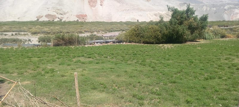 Vente Terreno de 5.4 Hectáreas en Camarones