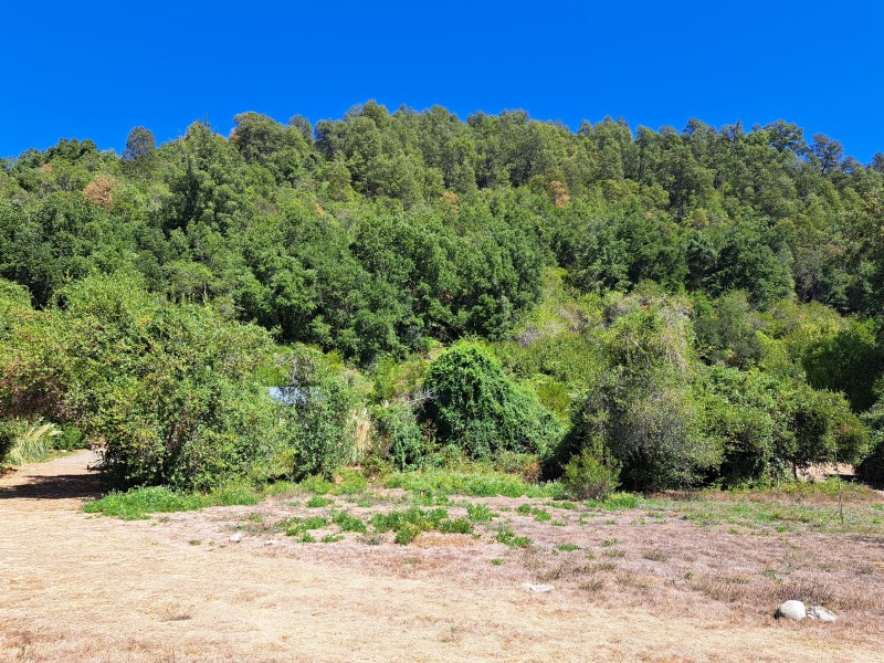 Centro Turistico Precordillera de Linares