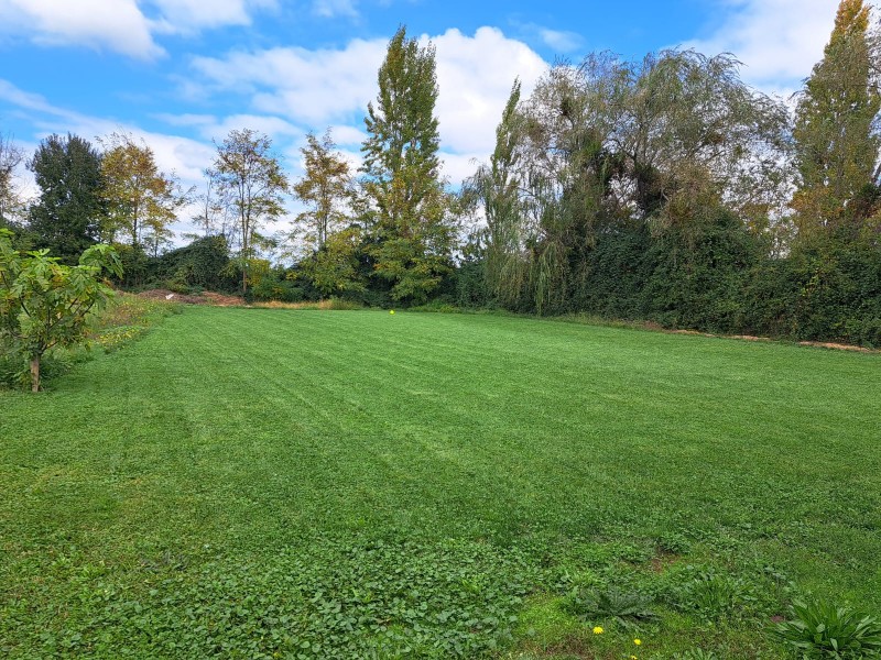 Parcela Agrado en San Victor Alamos, Ciudad de Linares