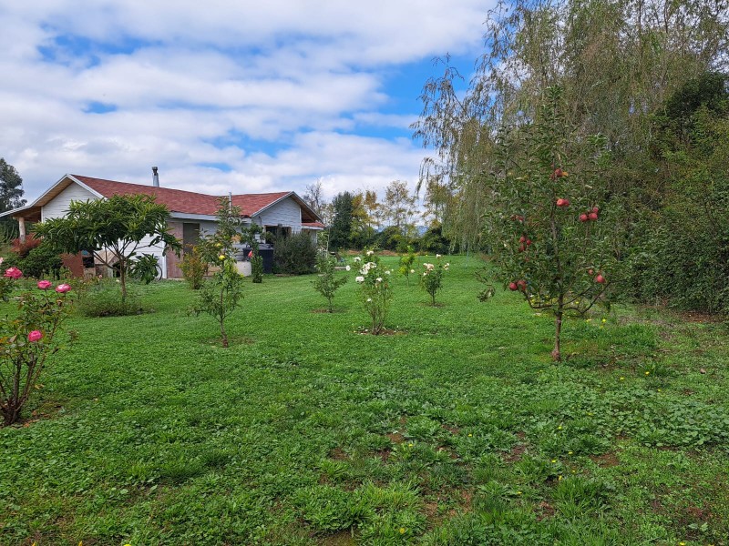 Parcela Agrado en San Victor Alamos, Ciudad de Linares