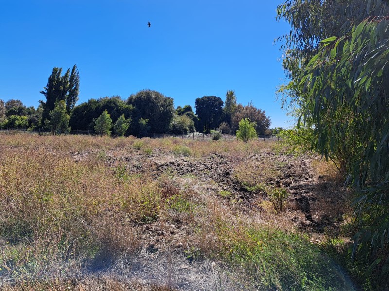 Parcela de 1/2 Hectarea Con Agua y Luz A 20 Kmts. de Linares