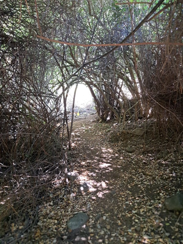 Centro Turistico Precordillera de Linares