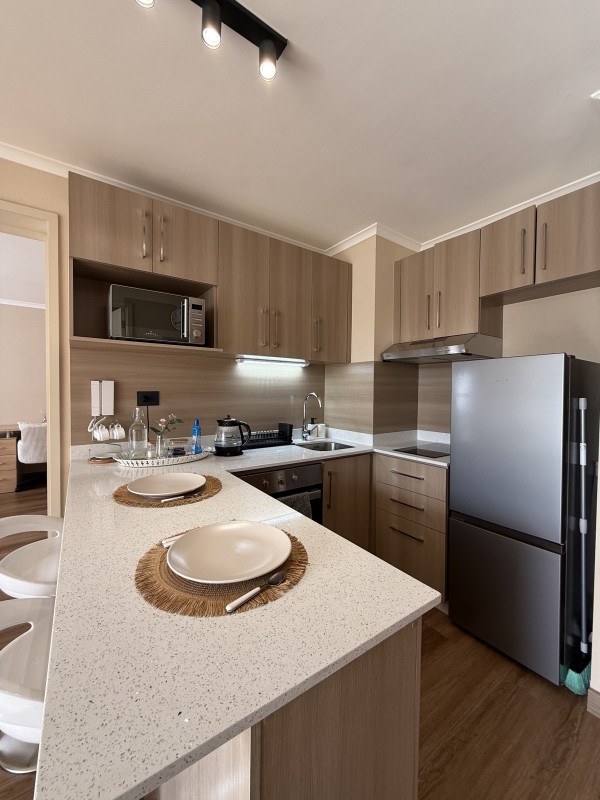 Arrendamos Departamento Amoblado Sector Oriente, Talca