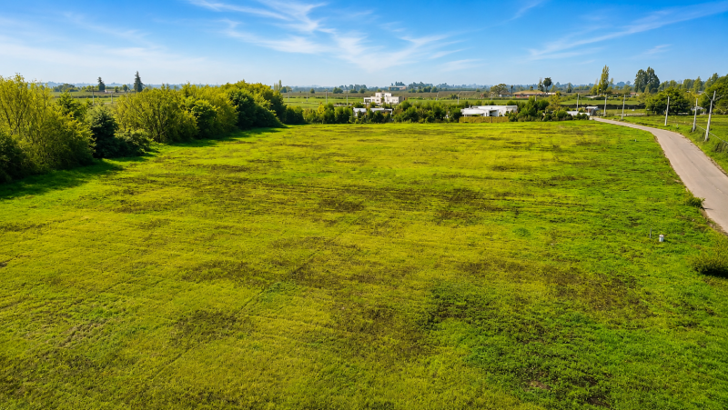 Vendemos Excelente Terreno en Loteo la Higuera, Talca