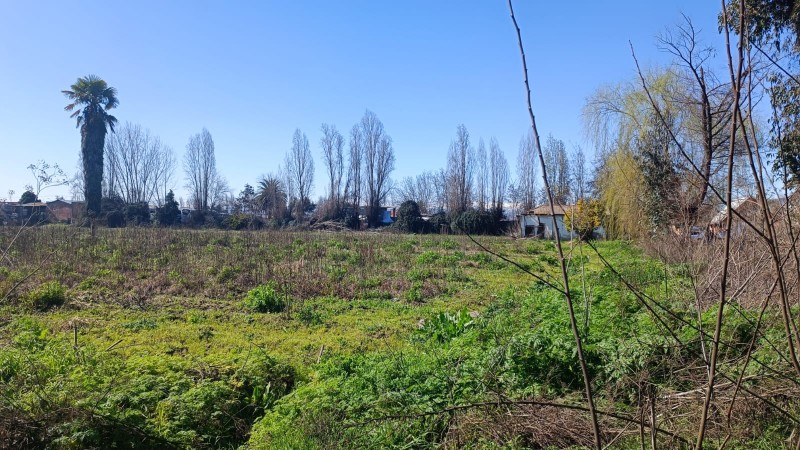 Se Arrienda Terreno en Avenida Balmaceda, Curicó