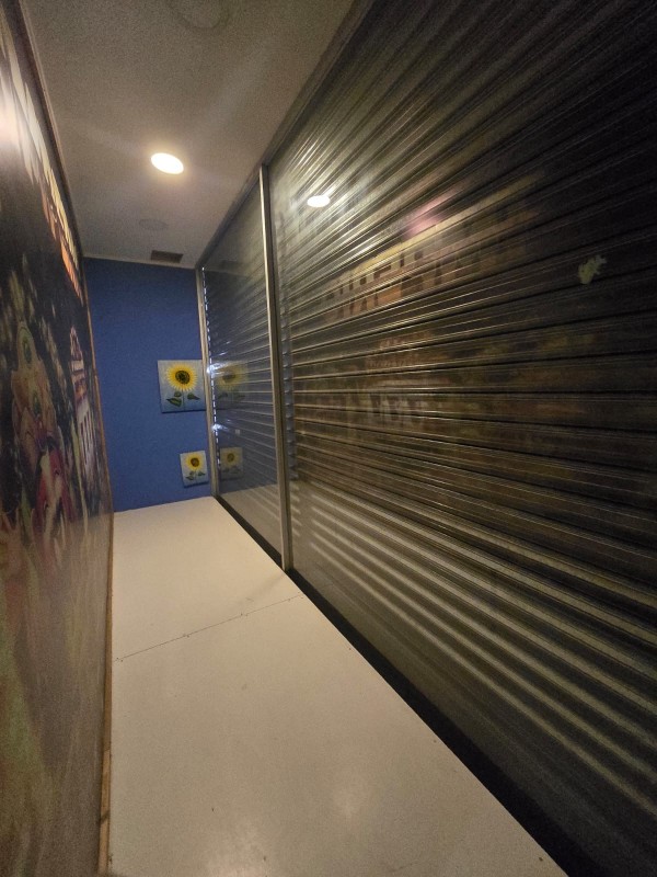 Se Arrienda Propiedad Comercial en Calle Prat, Curicó