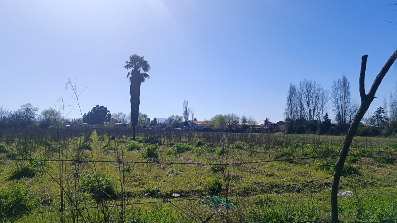 Se Arrienda Terreno en Avenida Balmaceda, Curicó