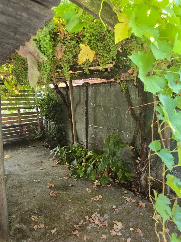 Se Arrienda Casa en Sector Bombero Garrido, Curicó