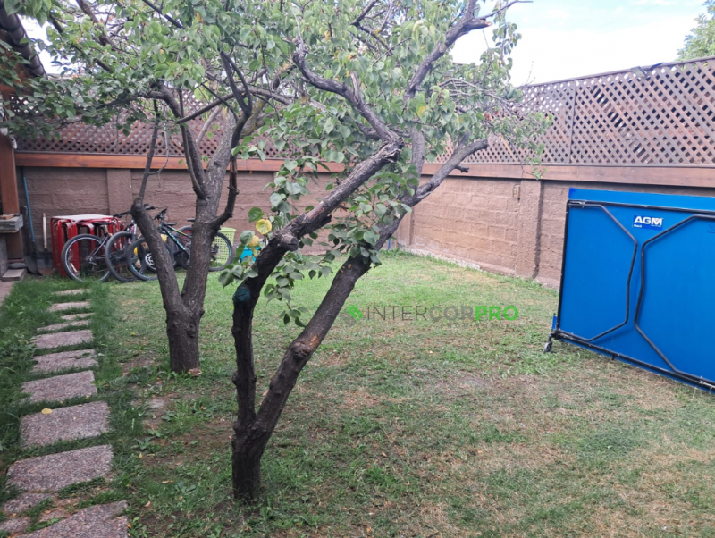 Se Vende Casa en Villa Pedro Álvarez, Curicó