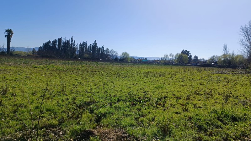 Se Arrienda Terreno en Avenida Balmaceda, Curicó