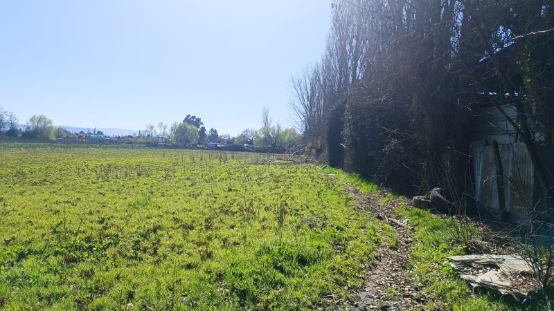 Se Arrienda Terreno en Avenida Balmaceda, Curicó