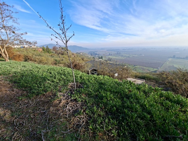 Arriendo Acogedora Casa en Cerro los Cristales Zapallar