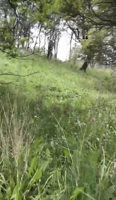 Parcela Sector el Claro - Coyhaique