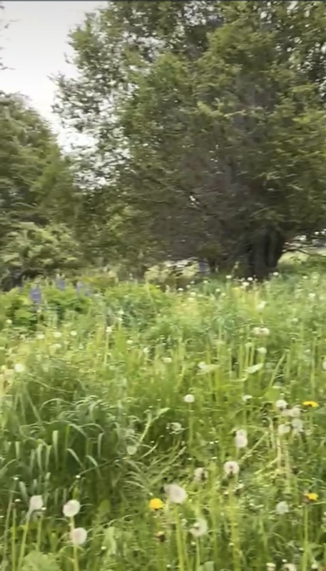 Parcela Sector el Claro - Coyhaique