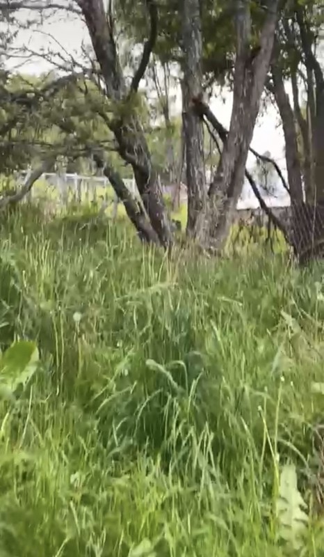 Parcela Sector el Claro - Coyhaique