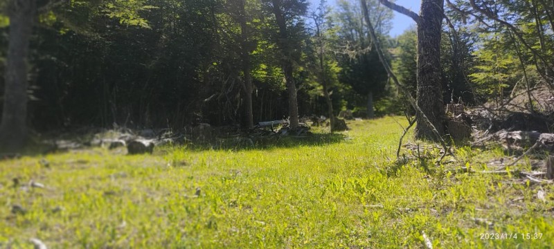 Foto 12