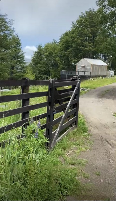 Parcela Sector el Claro - Coyhaique