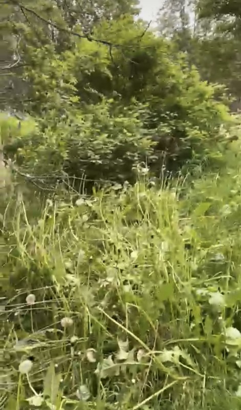 Parcela Sector el Claro - Coyhaique