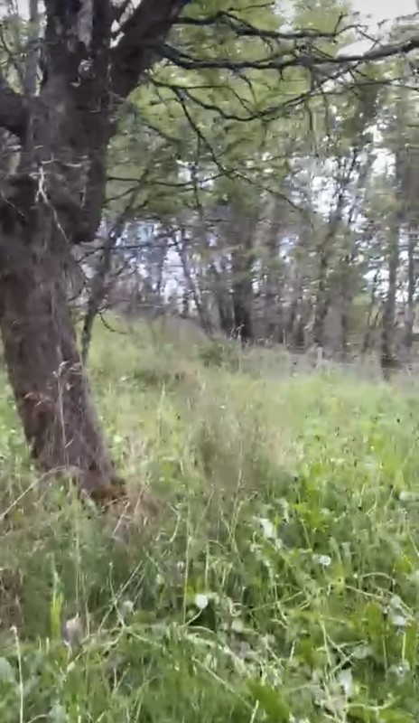 Parcela Sector el Claro - Coyhaique