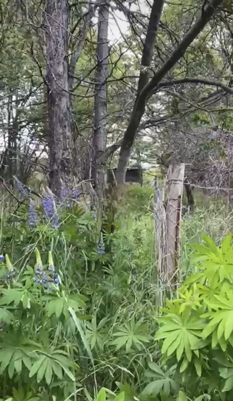 Parcela Sector el Claro - Coyhaique