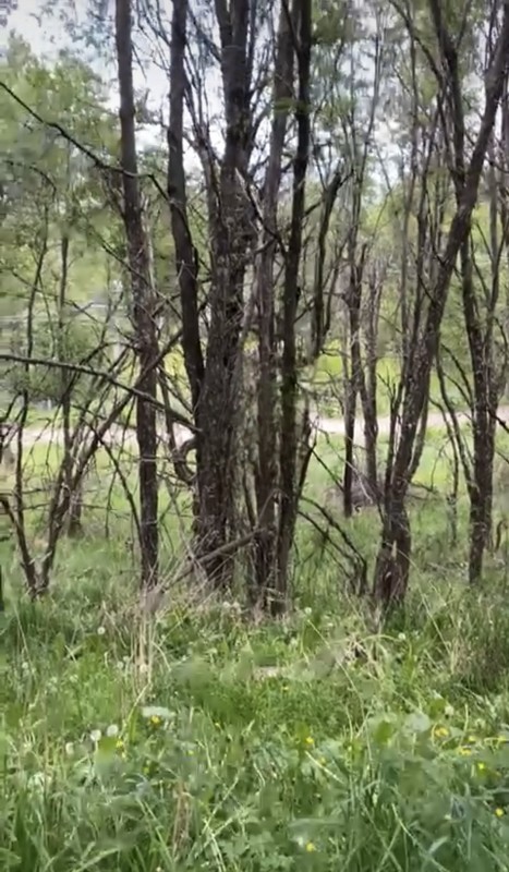 Parcela Sector el Claro - Coyhaique