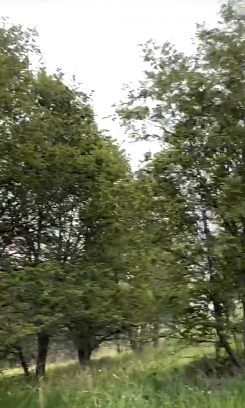 Parcela Sector el Claro - Coyhaique